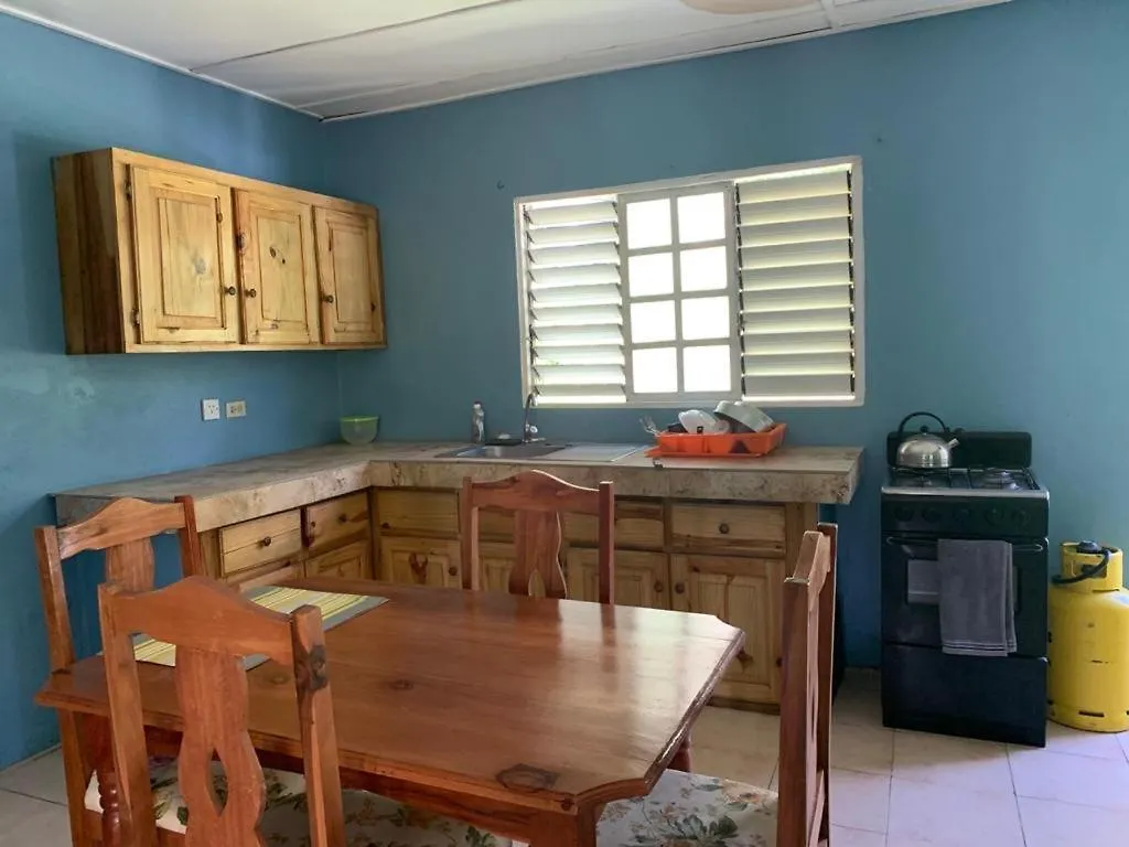 Tha Lagoon Spot Apartment Port Antonio