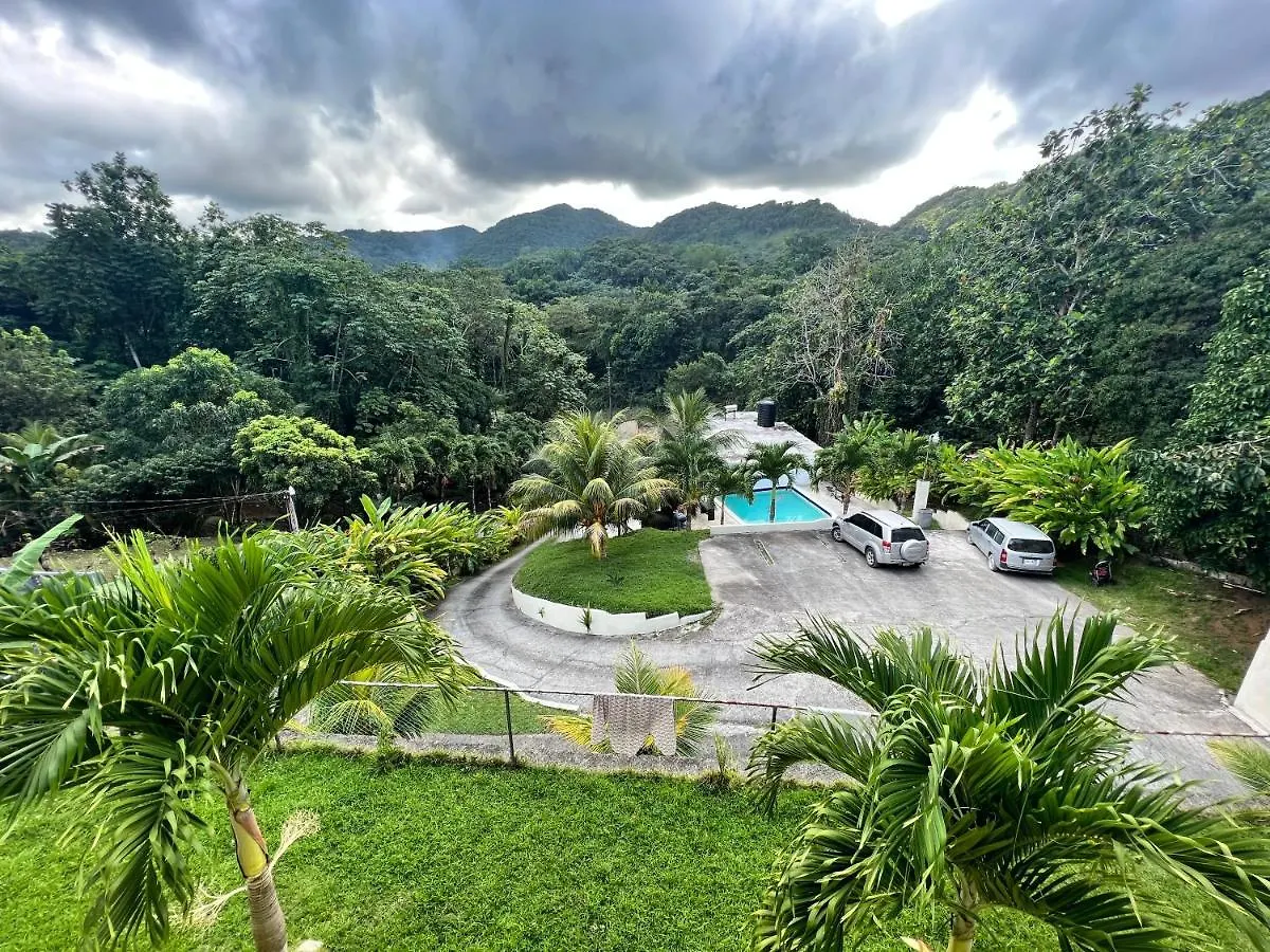 Tha Lagoon Spot Apartment Port Antonio